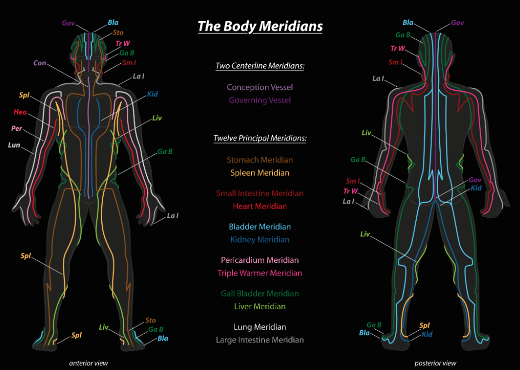 The Meridian Systems Of The Body